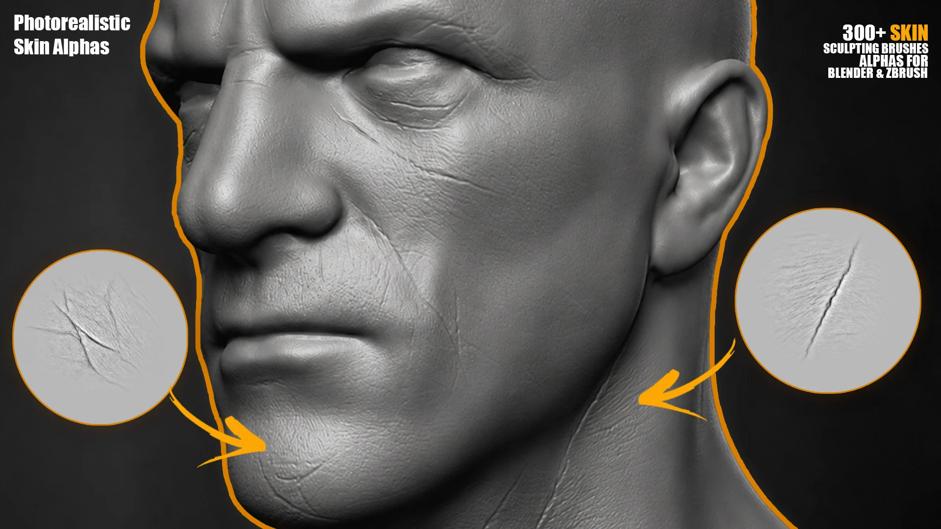 300+ Face Skin Sculpting Brushes for Blender & ZBrush preview 3