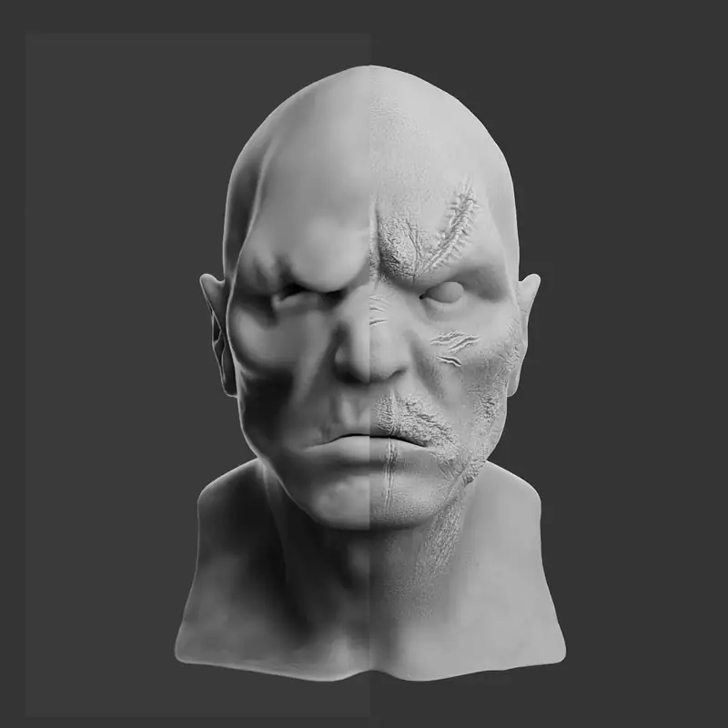 Wounds and scars brush set details