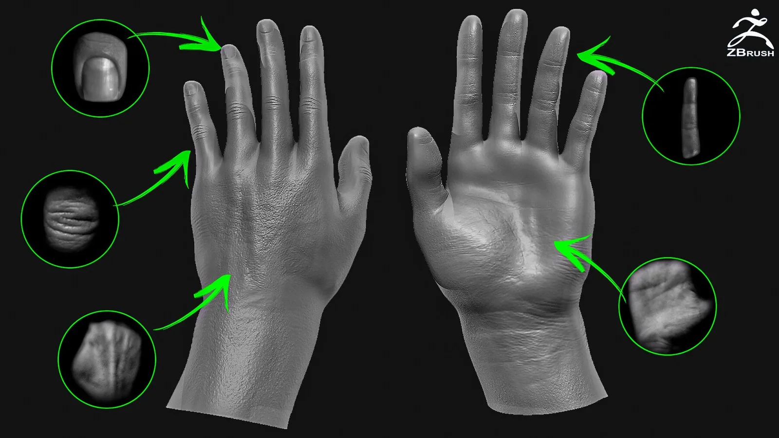 Human Skin Brushes for ZBrush (57 VDM) preview 2