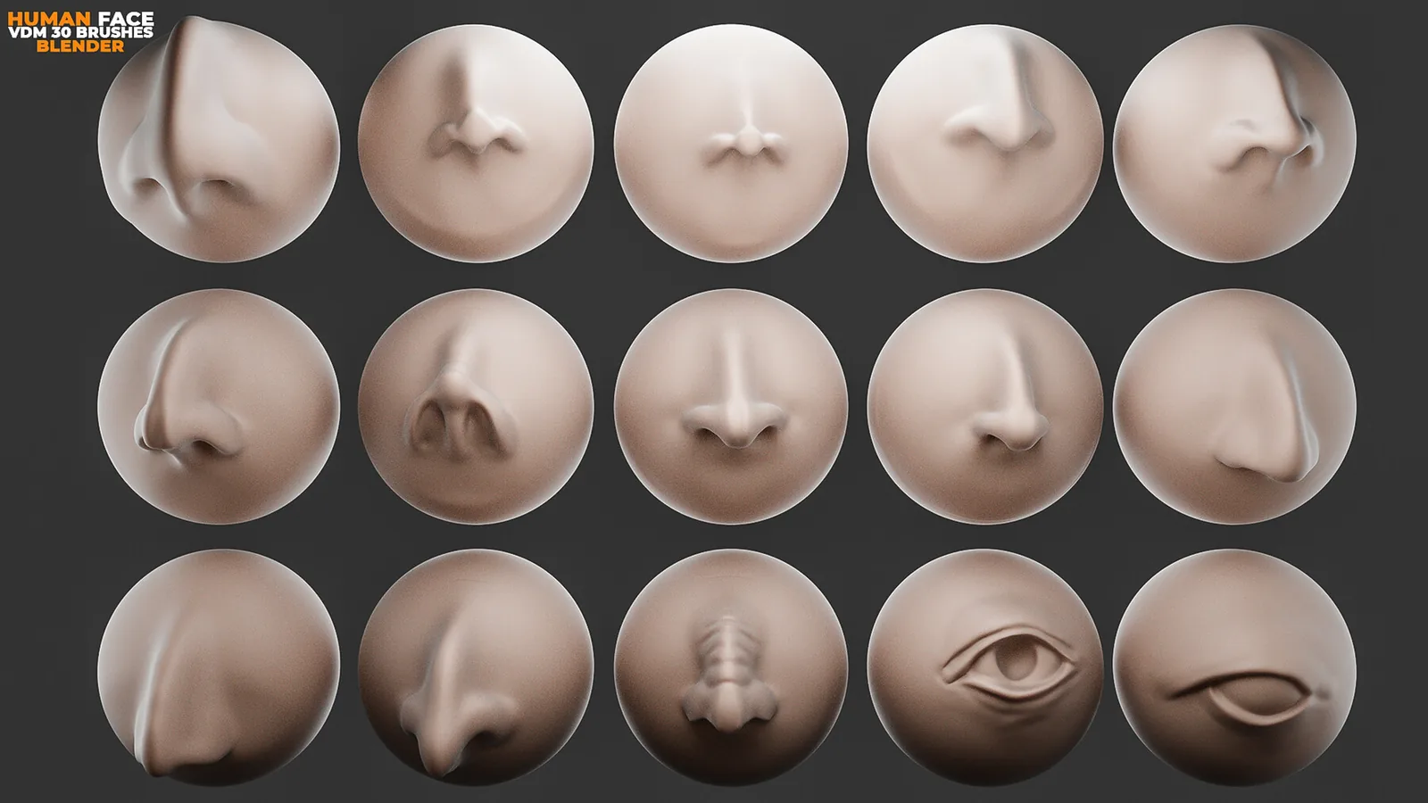 Human Face Vdm Brushes For Blender. Asset Browser. preview 2