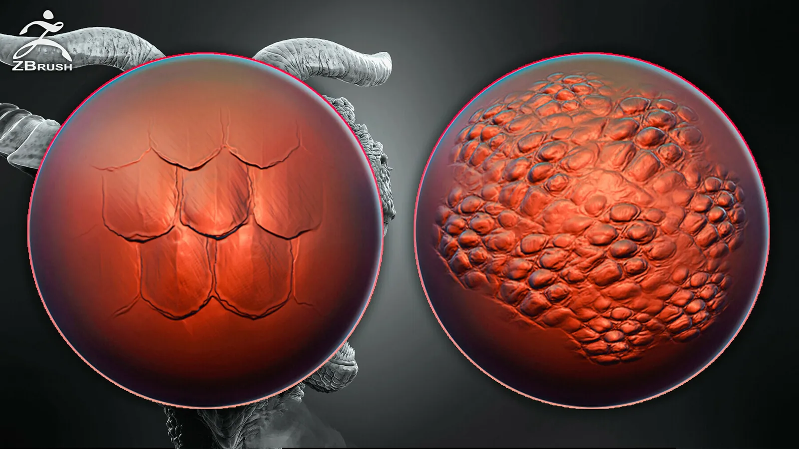 ZBrush Dragon Skin Alphas and VDM Brush preview 2