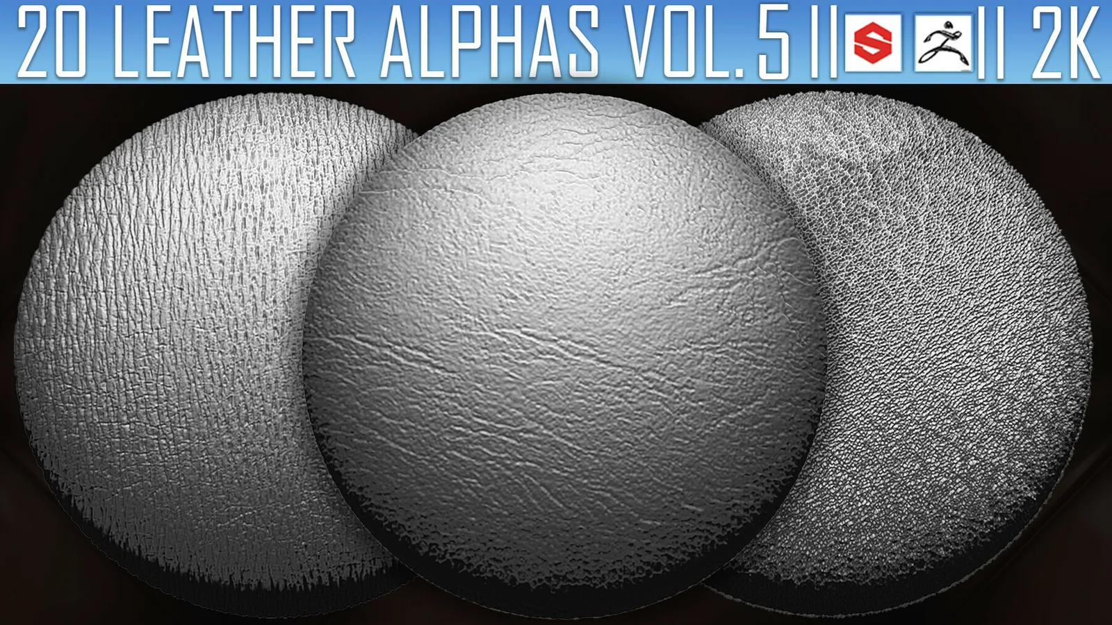 20 Leather Alphas Vol.5 (ZBrush, Substance, 2K) preview 1