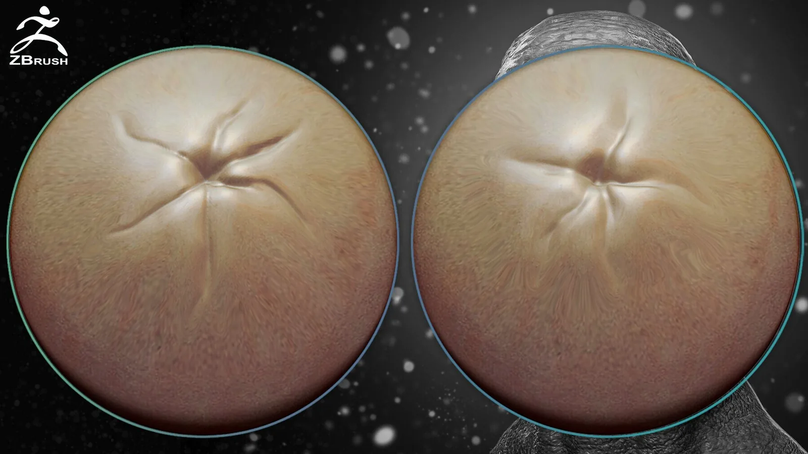 Skin Alphas for ZBrush + Video Tutorial preview 3