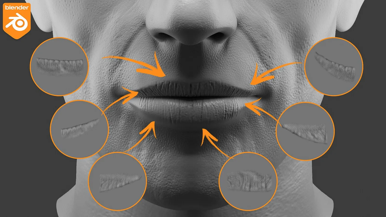 Blender Human Skin Brushes. Product update to Blender 4.3! preview 2