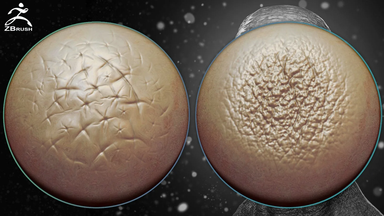 Skin Alphas for ZBrush + Video Tutorial preview 1