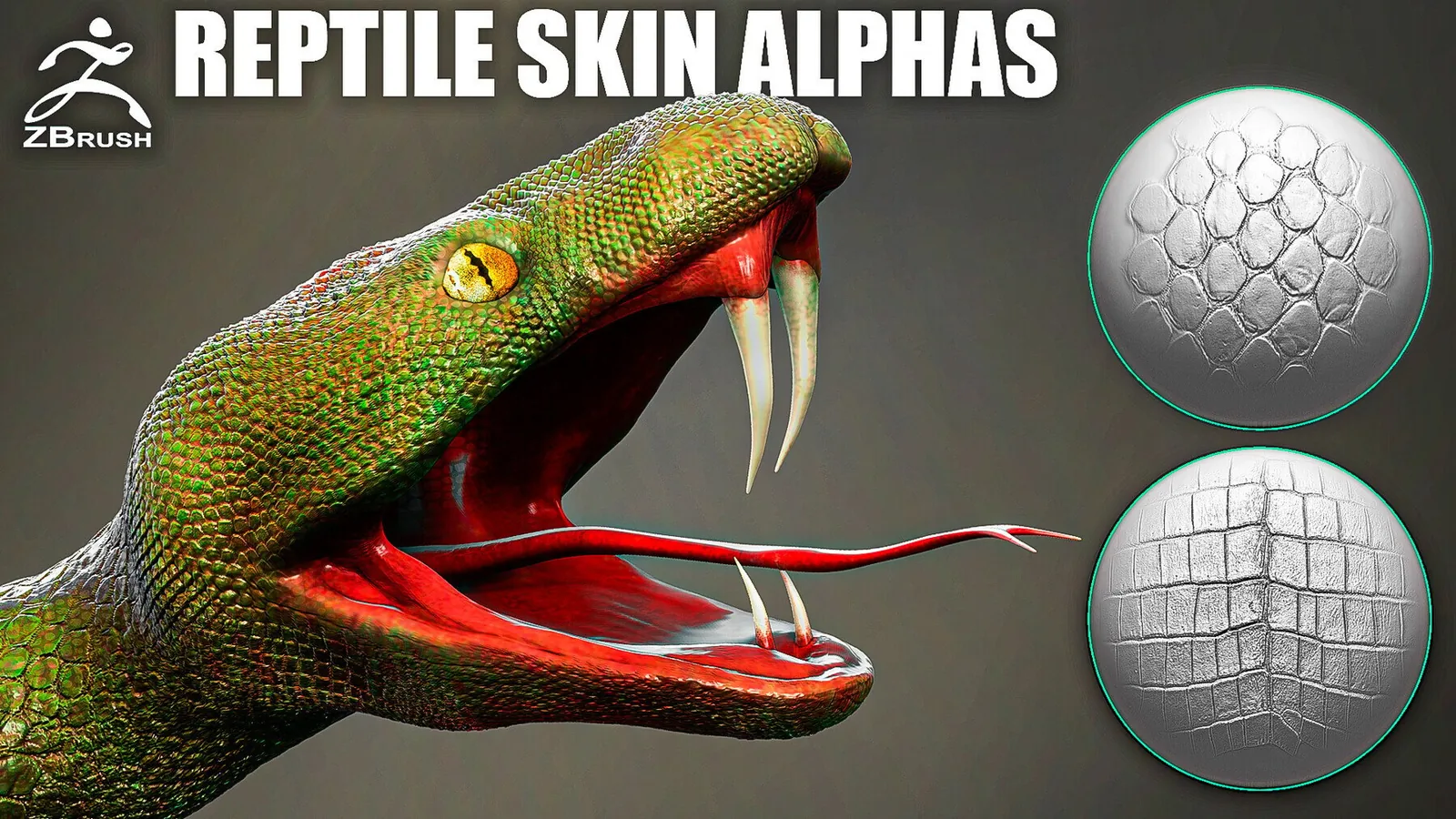 Reptile Skin Alphas for ZBrush preview