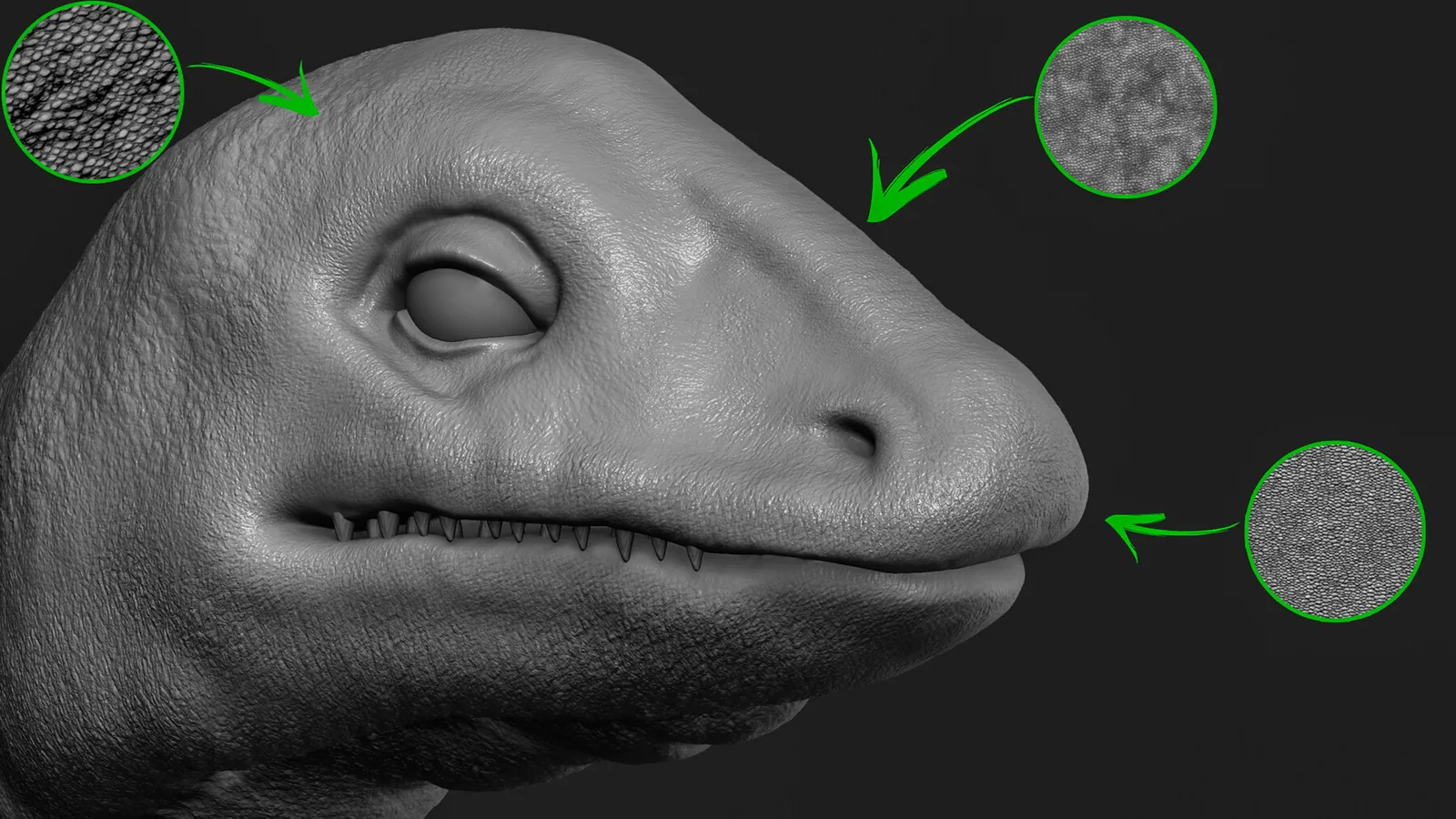 60+ Animals, Dragon, Reptile, Creature Alphas. ZBrush. Blender. Tileable. preview 1