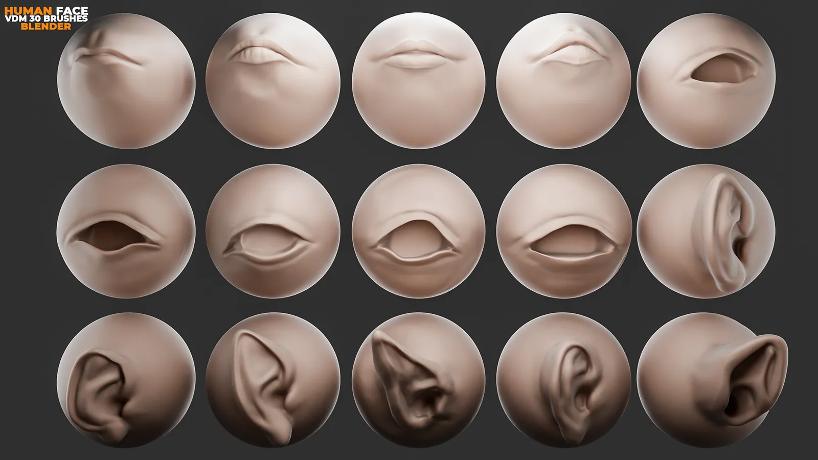 Human Face Vdm Brushes For Blender. Asset Browser. preview 3