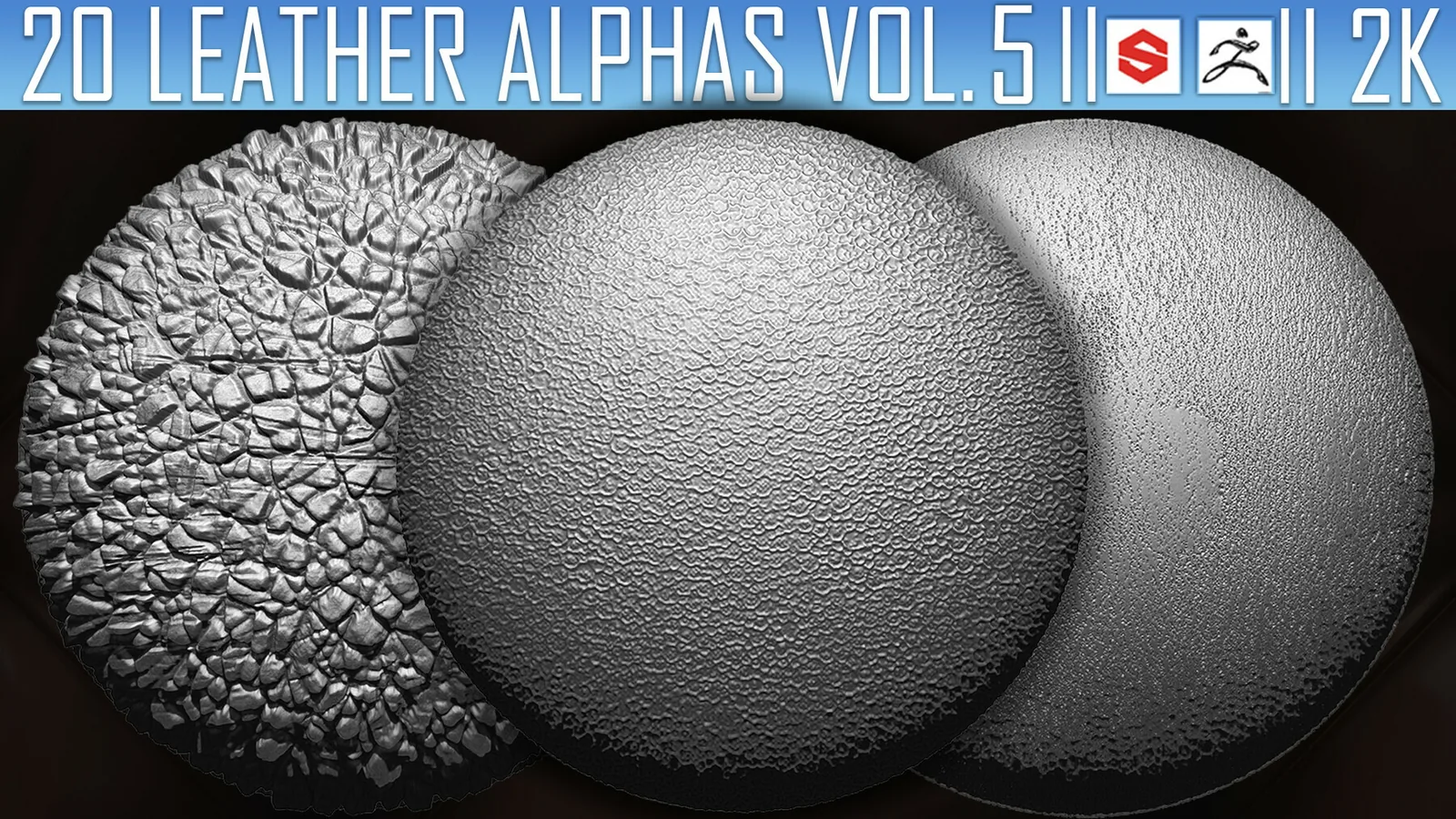 20 Leather Alphas Vol.5 (ZBrush, Substance, 2K) preview 2