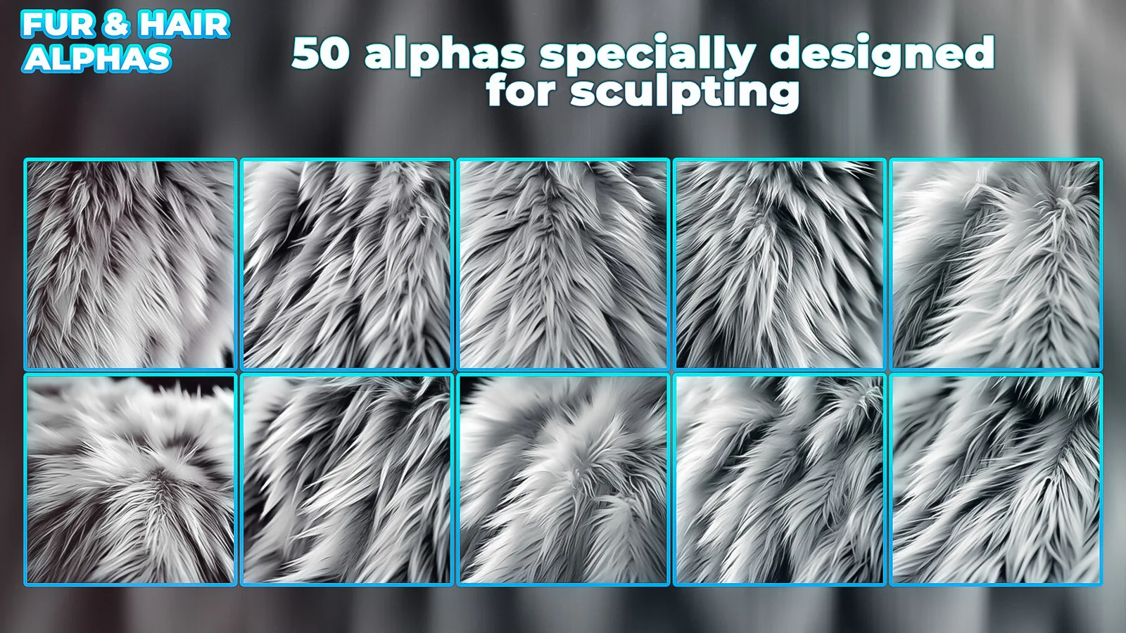 Animals Hair & Fur Alphas (Displacement Maps) for ZBrush, Blender, Substance Painter vol. preview 3