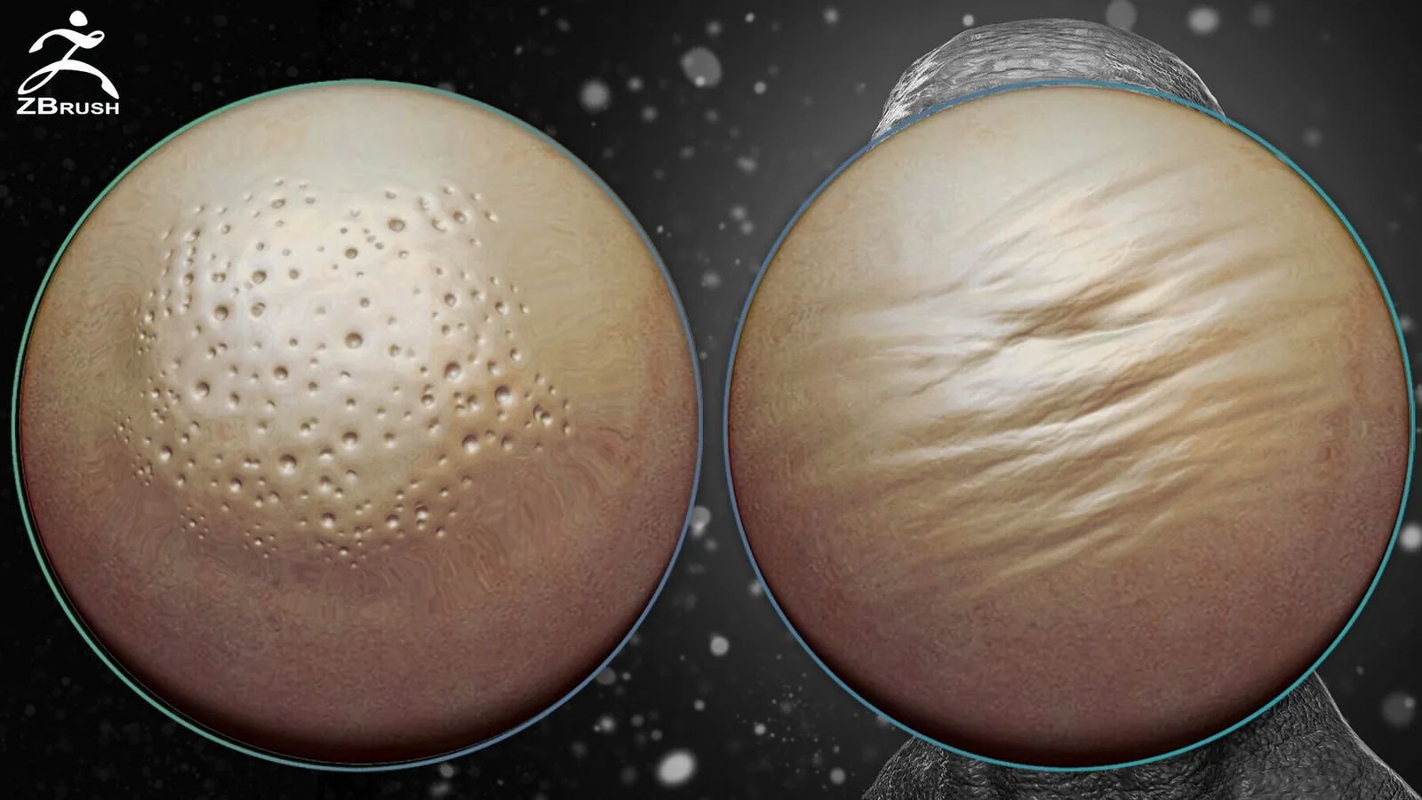 Skin Alphas for ZBrush + Video Tutorial preview 2