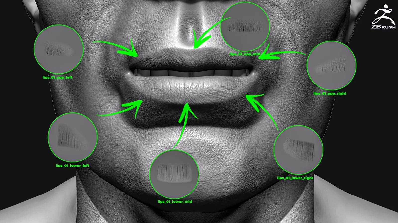 Human Skin Brushes for ZBrush (57 VDM) preview 1