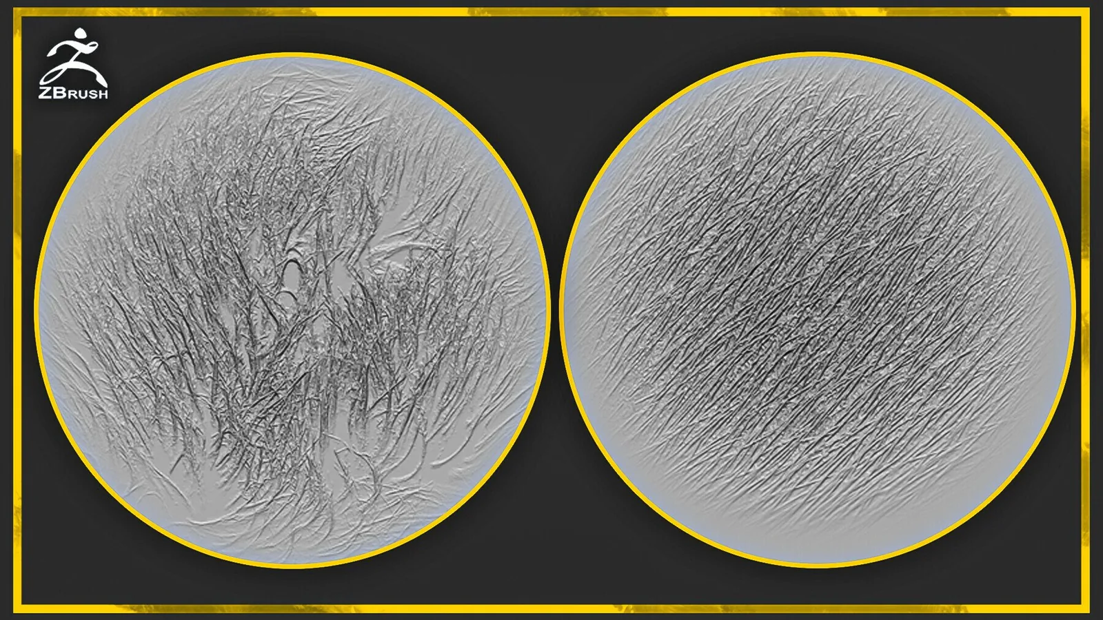 20 Fur and Hair Alphas for ZBrush preview 2