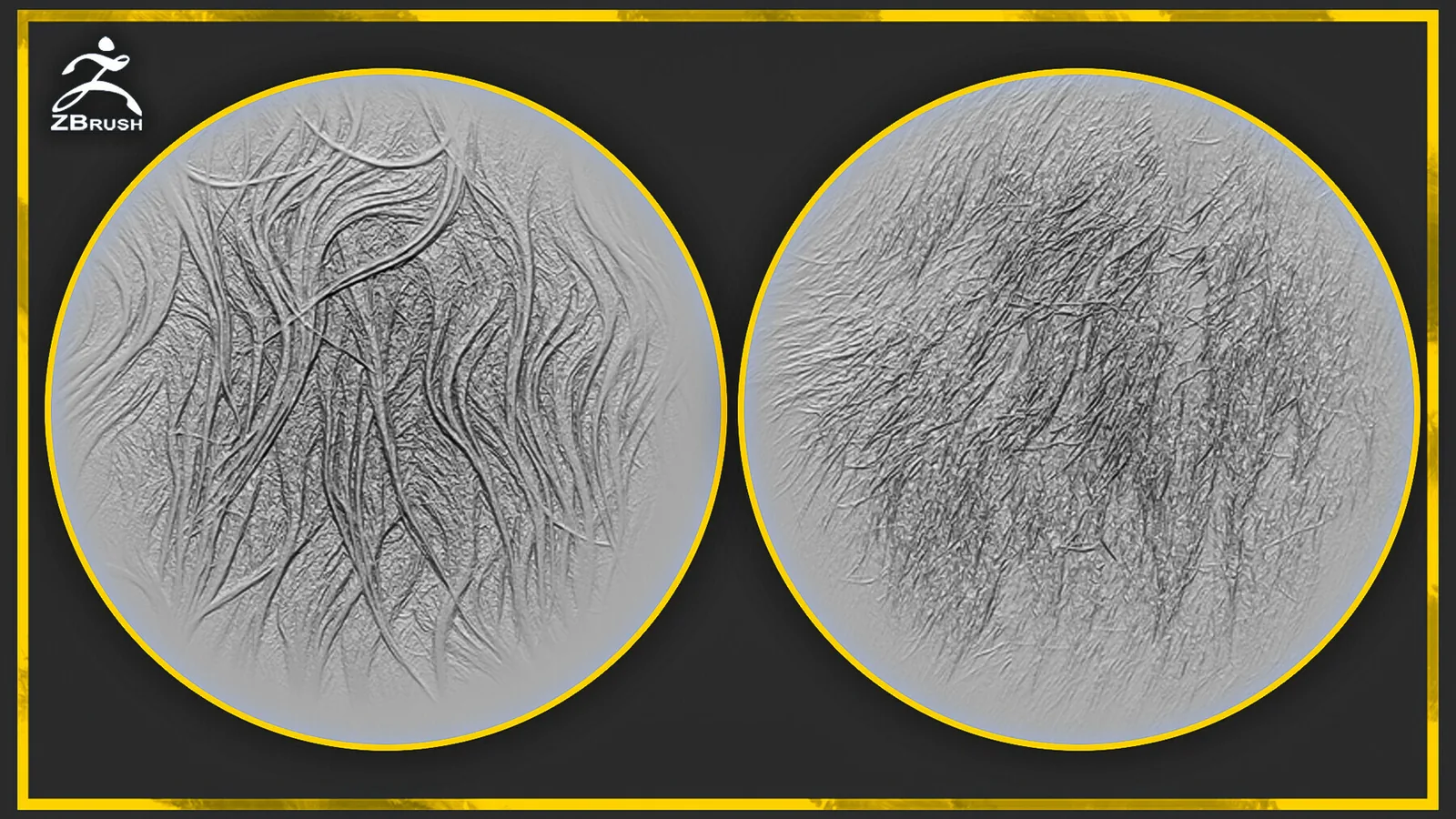 20 Fur and Hair Alphas for ZBrush preview 1