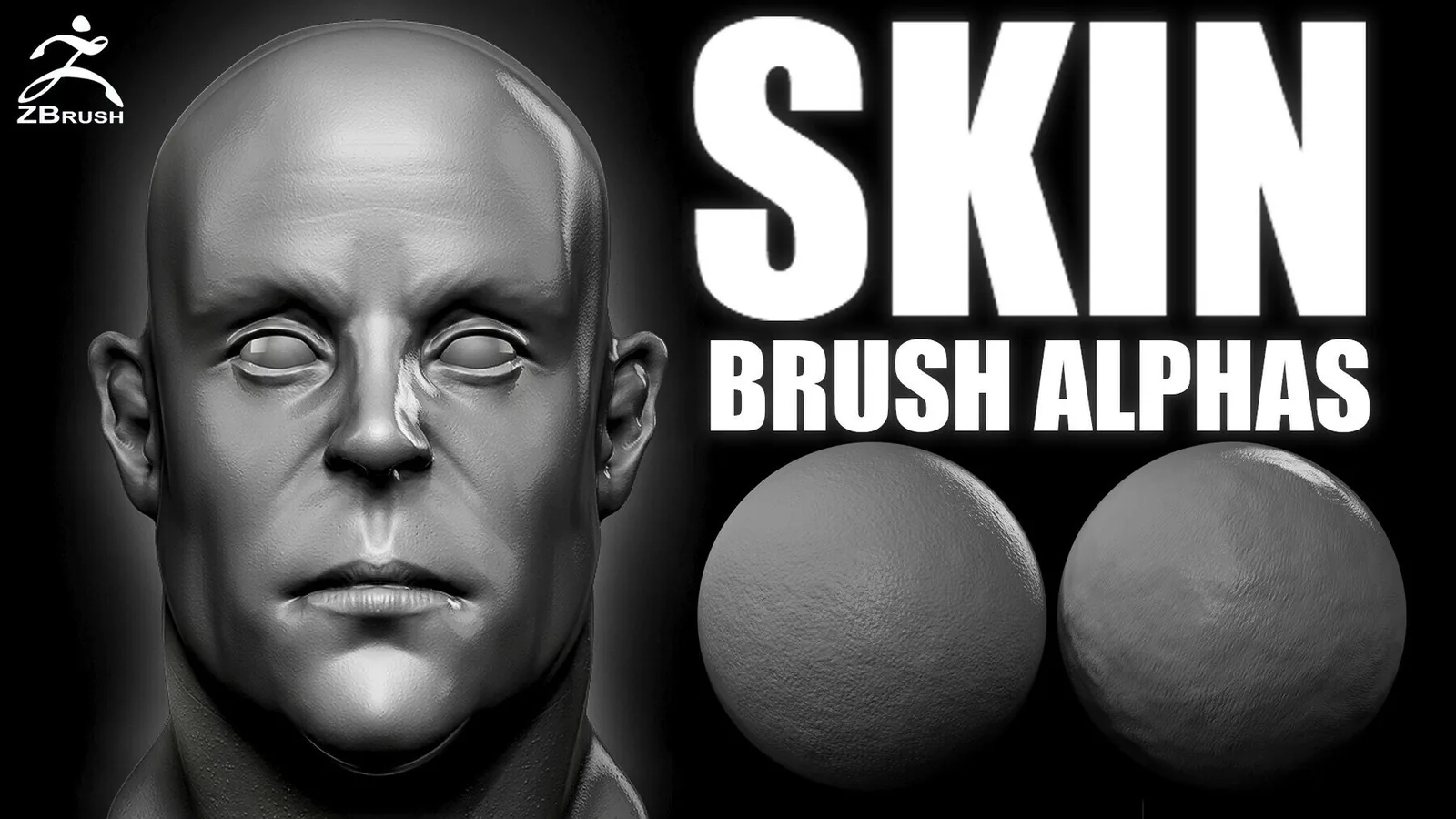 Skin Brush and Alphas for ZBrush preview
