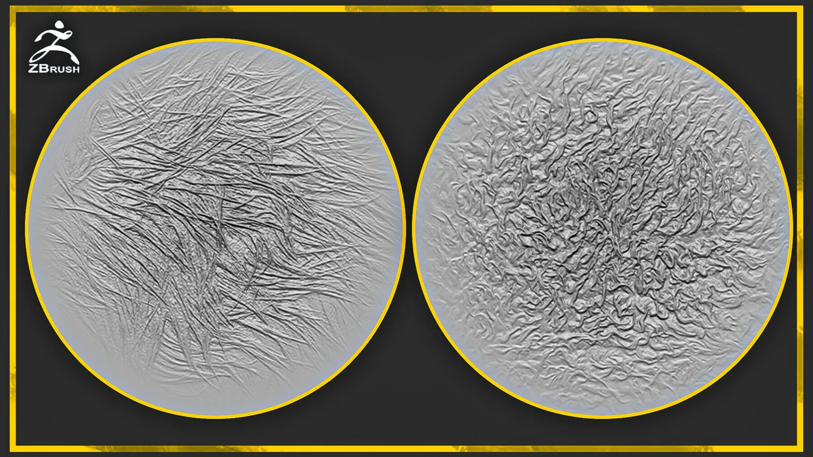 20 Fur and Hair Alphas for ZBrush preview 3