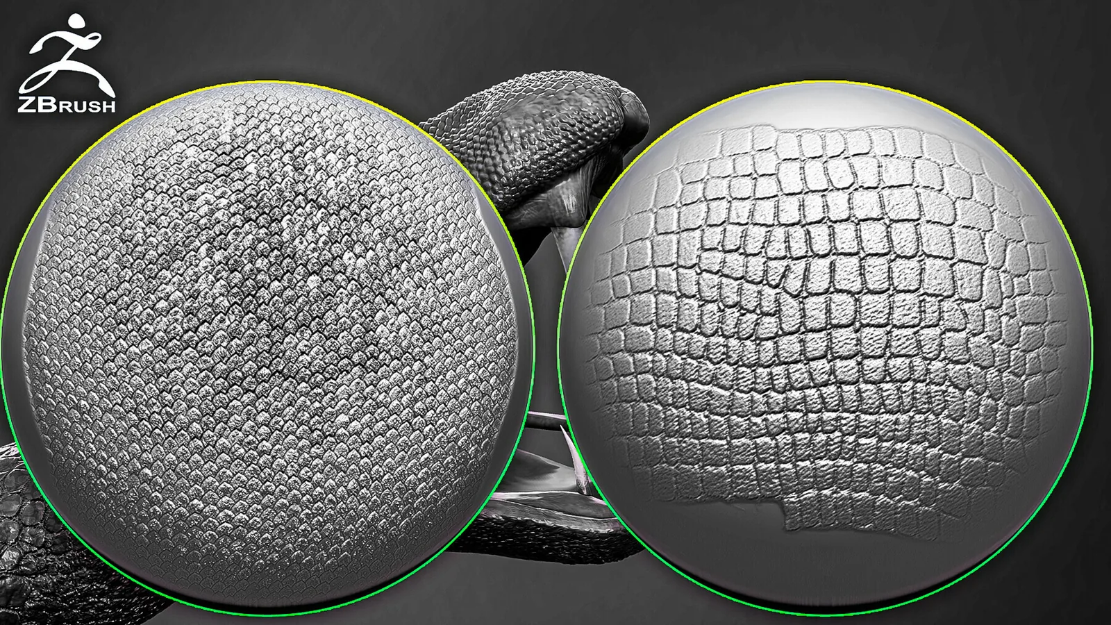 Reptile Skin Alphas for ZBrush preview 1
