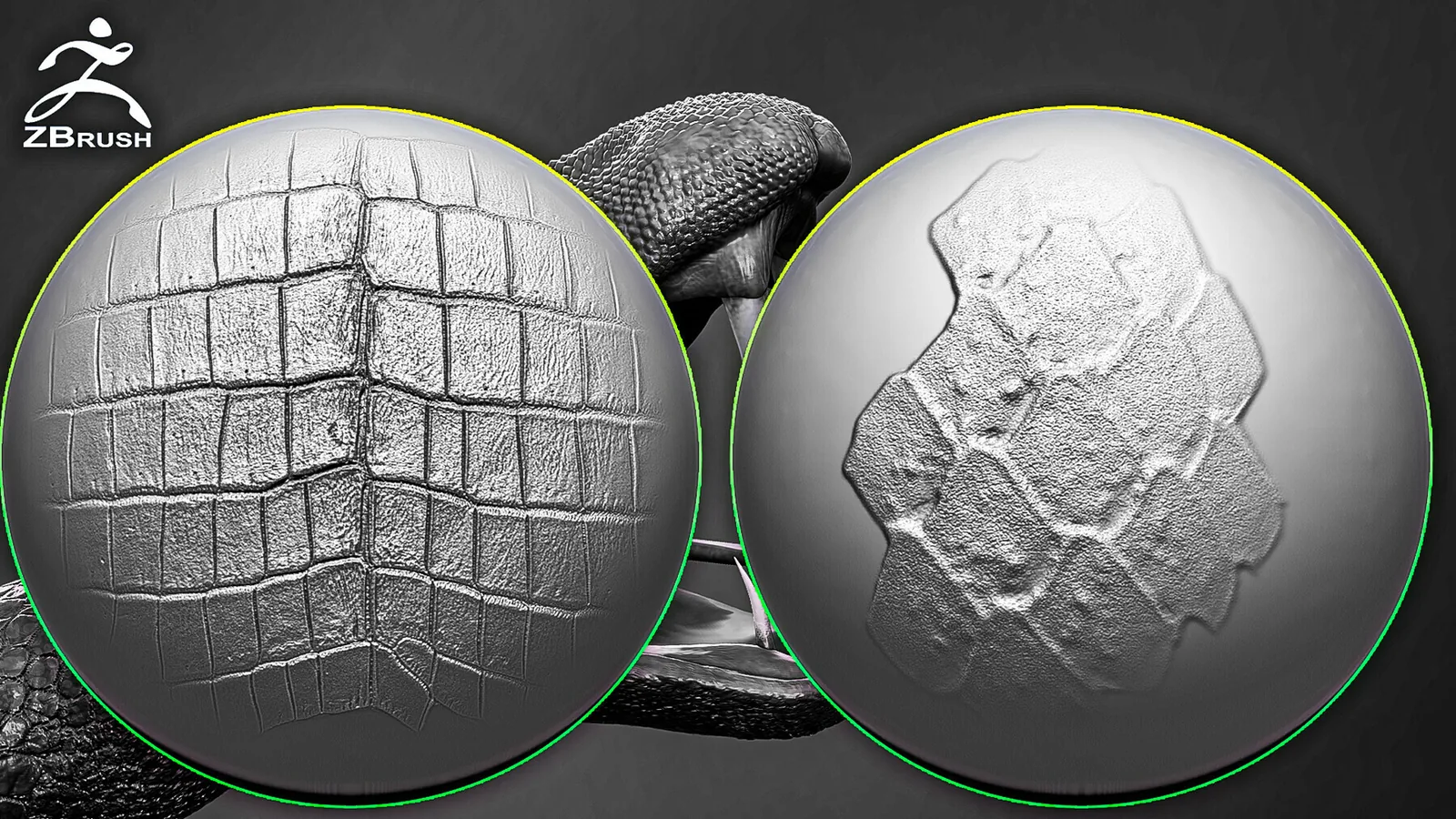 Reptile Skin Alphas for ZBrush preview 3