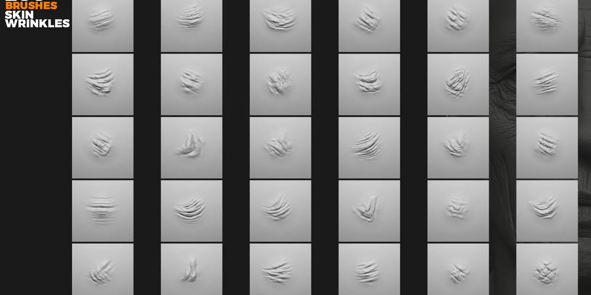 Skin wrinkles sculpting brushes preview 3