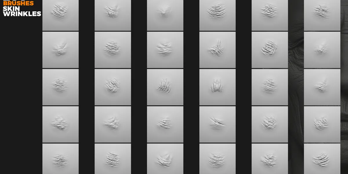 Skin wrinkles sculpting brushes preview 6